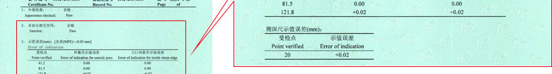 长度P站视频APP下载安装证书报告结果页